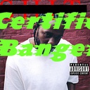 thewiggler4681123531375435-CertifiedBangersMod-1.0.0 icon