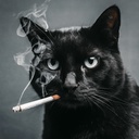 thylordkings-Thylords_Paradise-1.2.9 icon