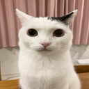 tilin2-nenemalo2 icon