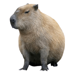 tocap-Get_ready_to_die icon