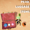tony4twenty-PEAK_Luggage_Items icon