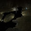 viliger-Catacombs-1.2.0 icon