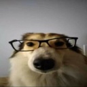 vins-SillyModPack icon