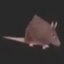 voie-FreeBirdEurobeatJester-1.0.0 icon