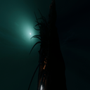 whatsamotto-DARKDECAY-1.0.0 icon