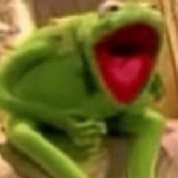 xironix-RiskOfKermit icon