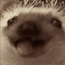 z33r0x-Disable_Update_Check-1.0.0 icon