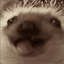 z33r0x-Disable_Update_Check-1.0.0 icon