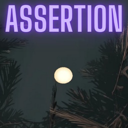 zepsun-Assertion icon