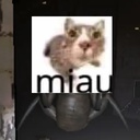 zeus1000-MiauMod icon